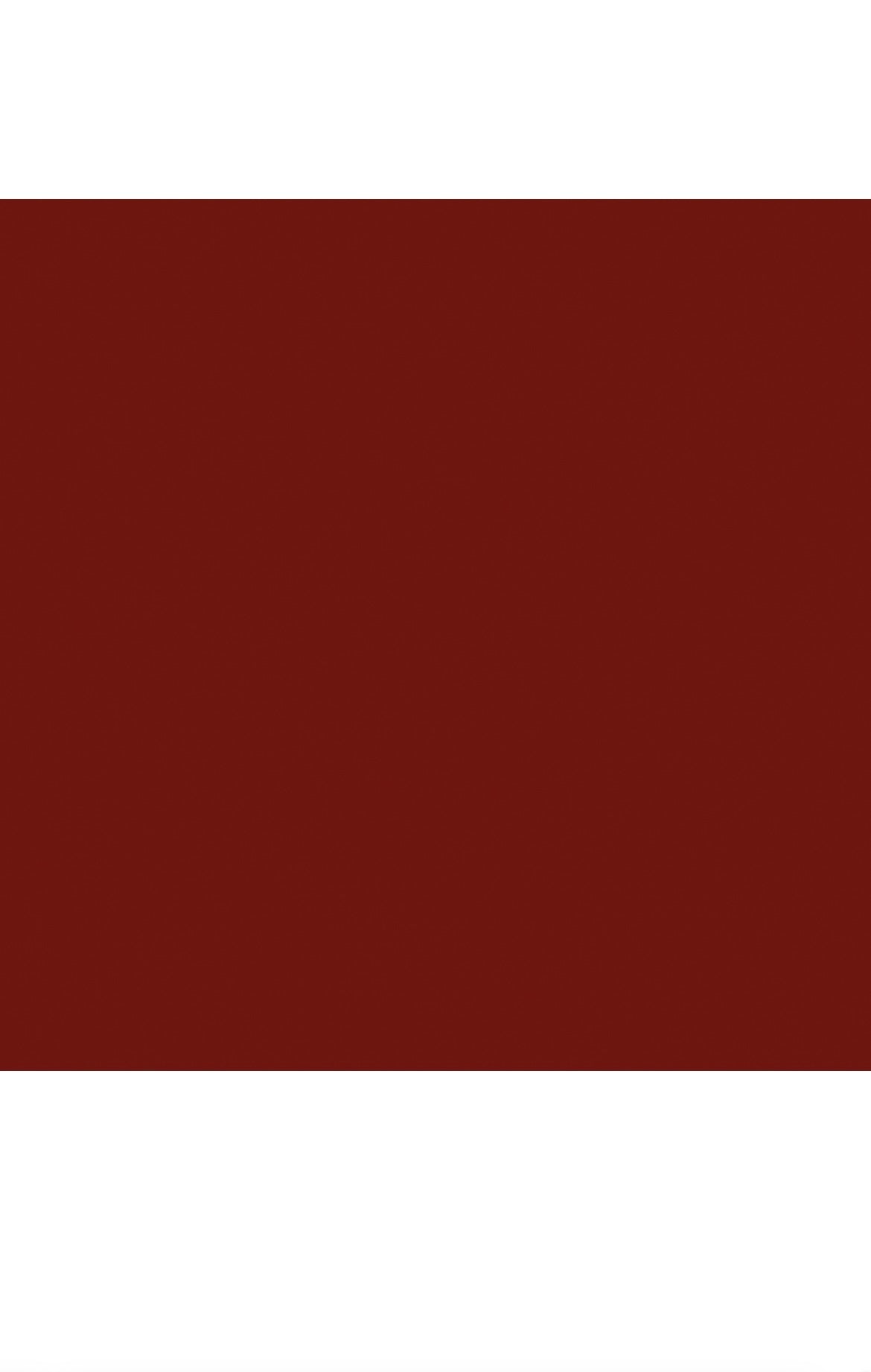 I.AM BRUSH BUILDER BIAB RED | 15 ml