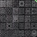 GUAPÀ® Nagelstickers | Bloemen stickers Wit | 30 vellen Diverse Nagel Stickers |