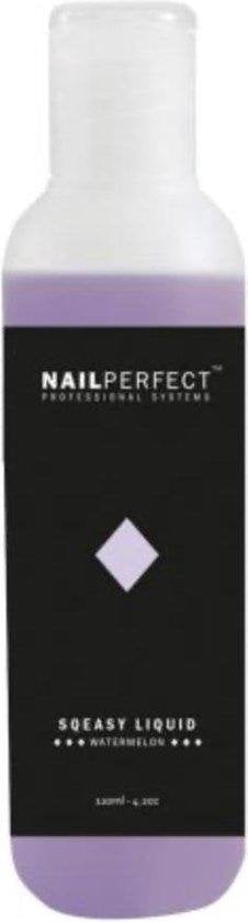 Nail Perfect Polygel Kit Deluxe | 2 x 60 gr